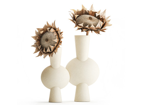 Boeket gedroogde bloementakken zonnebloemvaas decorset 3D Model