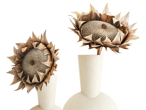 Bouquet dried flower branches sunflower vase decor set 3D Model