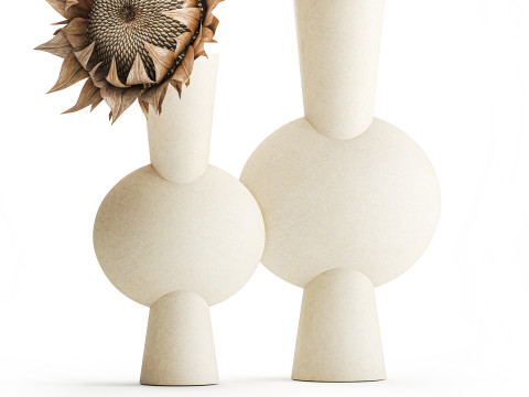 Boeket gedroogde bloementakken zonnebloemvaas decorset 3D Model