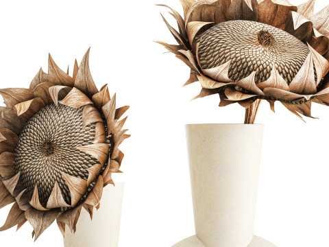 Boeket gedroogde bloementakken zonnebloemvaas decorset 3D Model