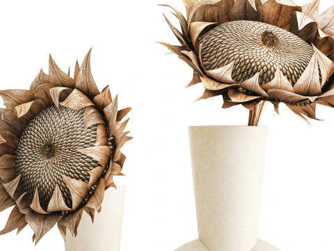 Bouquet dried flower branches sunflower vase decor set 3D Model