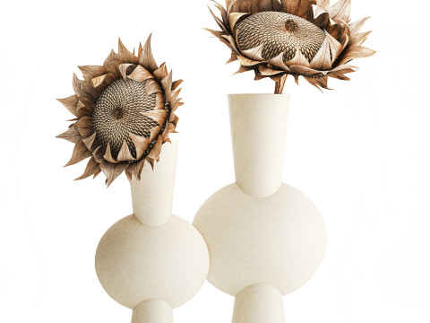 Boeket gedroogde bloementakken zonnebloemvaas decorset 3D Model