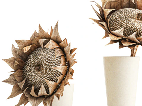 Bouquet dried flower branches sunflower vase decor set 3D Model