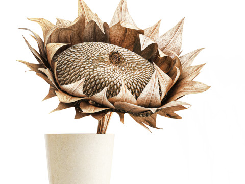 Boeket gedroogde bloementakken zonnebloemvaas decorset 3D Model
