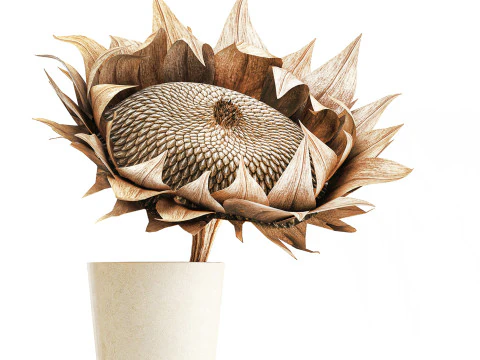 Bouquet dried flower branches sunflower vase decor set 3D Model