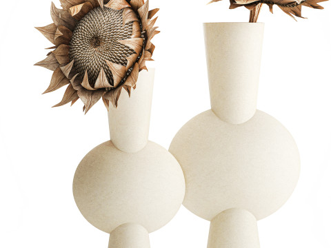 Boeket gedroogde bloementakken zonnebloemvaas decorset 3D Model