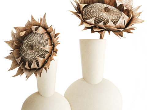 Boeket gedroogde bloementakken zonnebloemvaas decorset 3D Model