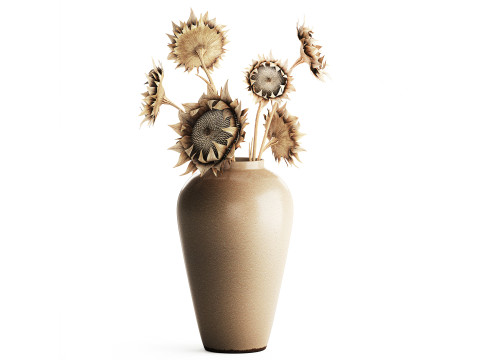 Boeket gedroogde bloementakken zonnebloemvaas decor nieuw 3D Model