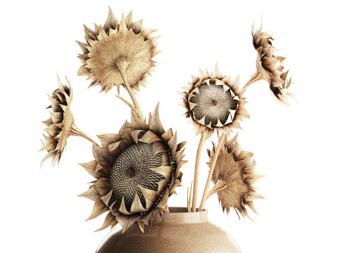 Bouquet di fiori secchi rami di girasole arredamento vaso nuovo Modello 3D