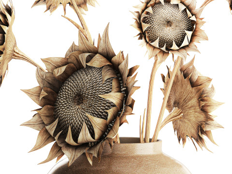 Bouquet di fiori secchi rami di girasole arredamento vaso nuovo Modello 3D