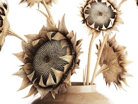 Bouquet dried flower branches sunflower vase decor new 3D Model