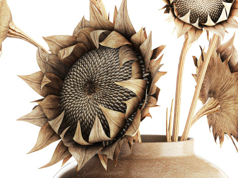 Bouquet di fiori secchi rami di girasole arredamento vaso nuovo Modello 3D