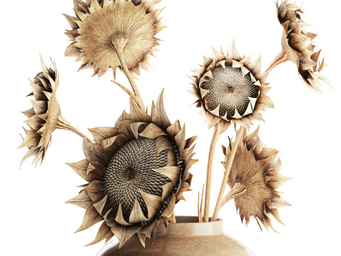 Bouquet di fiori secchi rami di girasole arredamento vaso nuovo Modello 3D