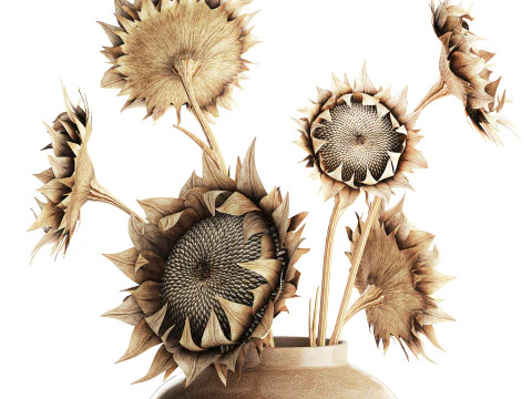 Bouquet dried flower branches sunflower vase decor new 3D Model