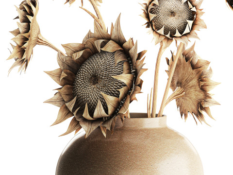 Bouquet di fiori secchi rami di girasole arredamento vaso nuovo Modello 3D