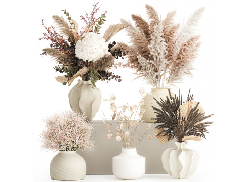 Collection dried flowers bouquets hydrangea pampas set new 3D Model