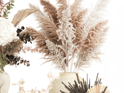 컬렉션 말린 꽃 부케 수국 팜파스 세트 새 상품 3D 모델