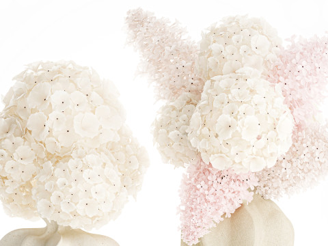 Bouquets pink flowers white Lilac Hydrangea vase decor new 3D Model