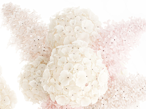 Bouquets pink flowers white Lilac Hydrangea vase decor new 3D Model
