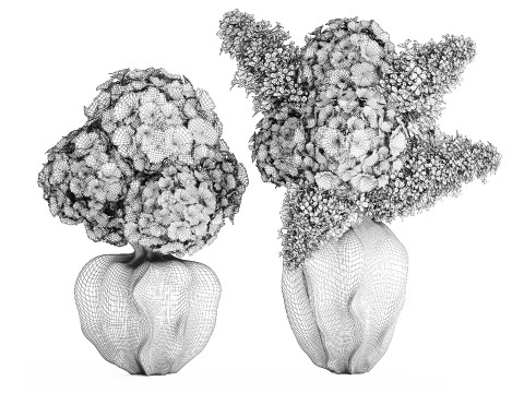 Bouquets pink flowers white Lilac Hydrangea vase decor new 3D Model