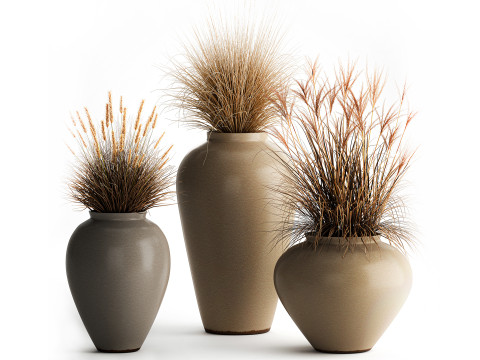 Boeket droogbloemen takken struiken riet vaas set 3D Model