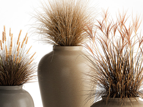 花束、ドライフラワー、枝、茂み、葦、花瓶セット 3Dモデル