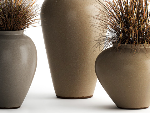 花束、ドライフラワー、枝、茂み、葦、花瓶セット 3Dモデル