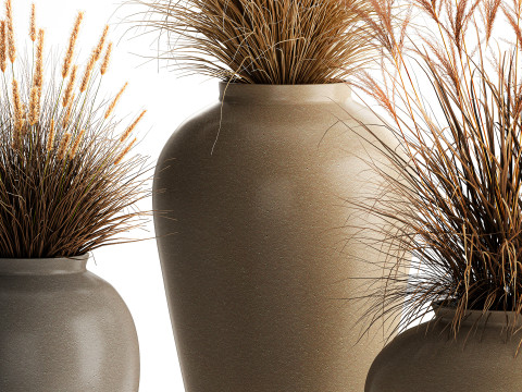 花束、ドライフラワー、枝、茂み、葦、花瓶セット 3Dモデル