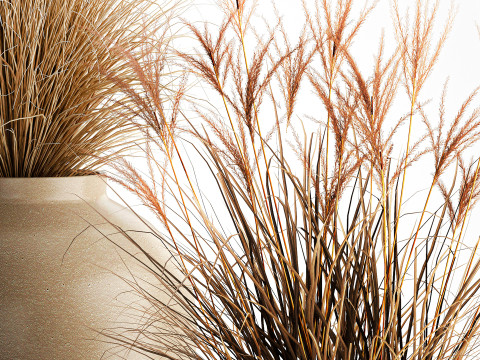 花束、ドライフラワー、枝、茂み、葦、花瓶セット 3Dモデル