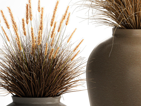 花束、ドライフラワー、枝、茂み、葦、花瓶セット 3Dモデル