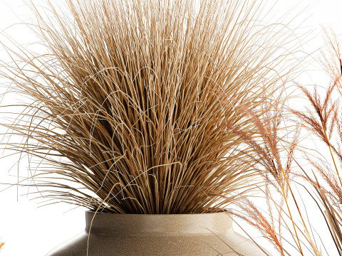 花束、ドライフラワー、枝、茂み、葦、花瓶セット 3Dモデル