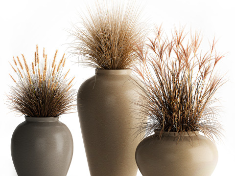 花束、ドライフラワー、枝、茂み、葦、花瓶セット 3Dモデル