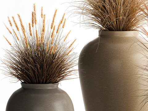 花束、ドライフラワー、枝、茂み、葦、花瓶セット 3Dモデル