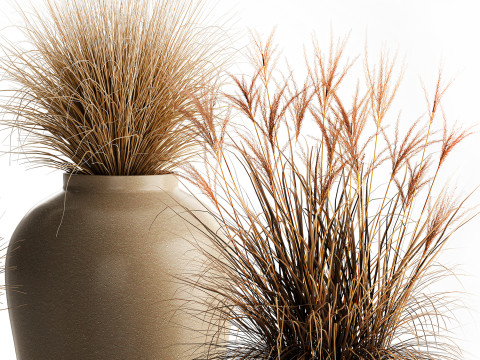 花束、ドライフラワー、枝、茂み、葦、花瓶セット 3Dモデル