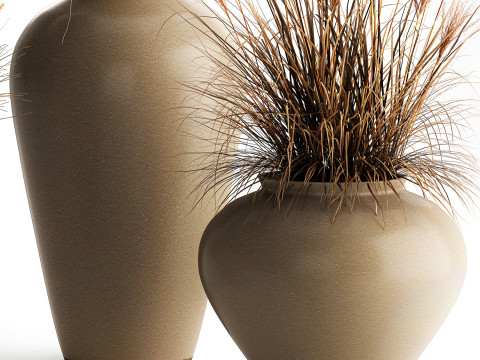 花束、ドライフラワー、枝、茂み、葦、花瓶セット 3Dモデル