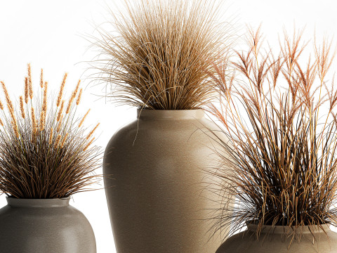 花束、ドライフラワー、枝、茂み、葦、花瓶セット 3Dモデル