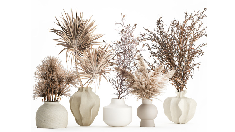 Collection dried flower bouquets pampas branches vase set 3D Model .c4d .max .obj .3ds .fbx .stl .blend