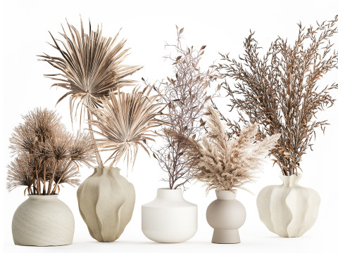 Колекція сухих квітів букети pampas гілки ваза набір 3D Модель