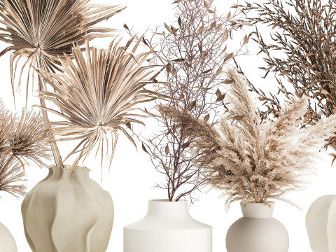 コレクションドライフラワーブーケススキの枝花瓶セット 3Dモデル