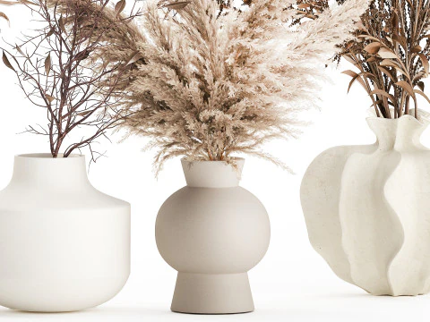 Cole&ccedil;&atilde;o de buqu&ecirc;s de flores secas conjunto de vasos de galhos de pampas Modelo 3D