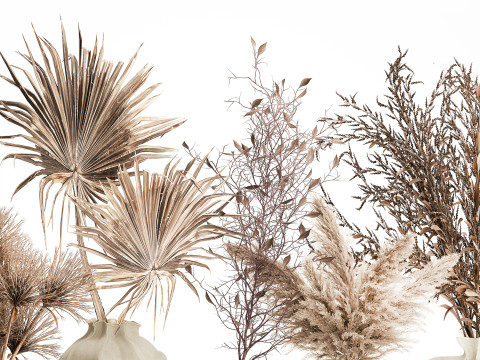 コレクションドライフラワーブーケススキの枝花瓶セット 3Dモデル