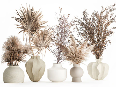 Cole&ccedil;&atilde;o de buqu&ecirc;s de flores secas conjunto de vasos de galhos de pampas Modelo 3D
