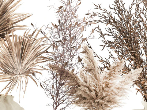 Cole&ccedil;&atilde;o de buqu&ecirc;s de flores secas conjunto de vasos de galhos de pampas Modelo 3D