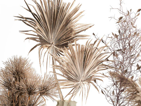 Cole&ccedil;&atilde;o de buqu&ecirc;s de flores secas conjunto de vasos de galhos de pampas Modelo 3D