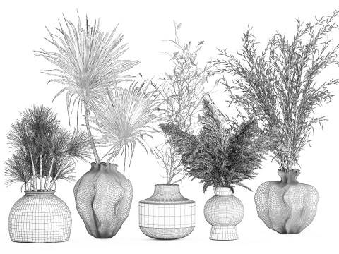 Cole&ccedil;&atilde;o de buqu&ecirc;s de flores secas conjunto de vasos de galhos de pampas Modelo 3D