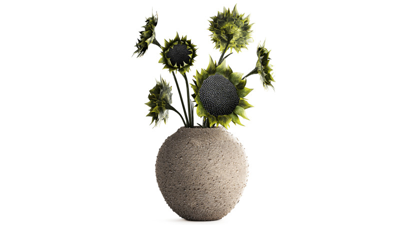 Bouquet green black sunflower flowers modern vase decor 3D Model .c4d .max .obj .3ds .fbx .stl .blend 