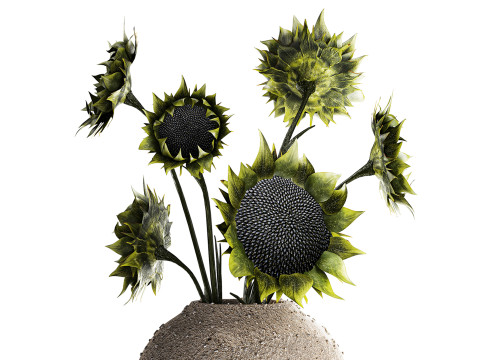 Bouquet green black sunflower flowers modern vase decor 3D Model