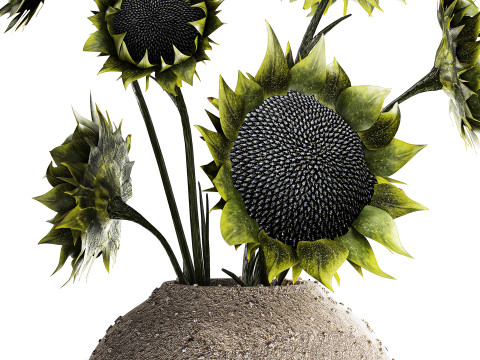 Bouquet green black sunflower flowers modern vase decor 3D Model