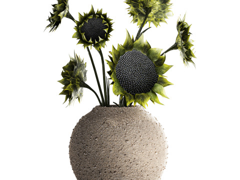 Bouquet green black sunflower flowers modern vase decor 3D Model