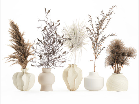 Kleine minimalistische droogbloemboeketten als decor van een takvaas 3D Model